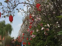 -云南民族大观园