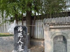 -活死人墓