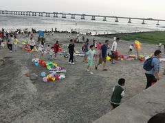 -南汇新城海滩