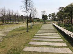 -滆湖低碳生态公园
