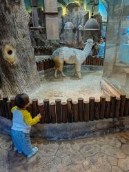 -宝燕乐园(闵行旗舰店)