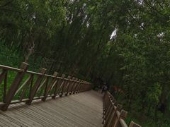 -微山湖红荷湿地景区