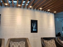 -虹桥机场国航贵宾室v8