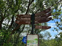 -马峦山郊野公园