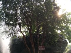 -陆地游轮吉林神农温泉