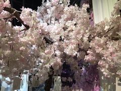 -上海外滩星空失恋减压馆(外滩旗舰馆)