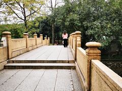 -晓港公园