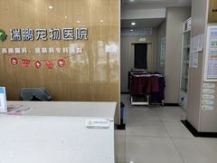 -瑞鹏宠物医院·眼科·皮肤·中兽医(大悦城分院)