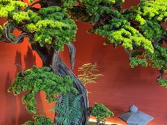 -阿伟海鲜楼·福建菜(延寿店)