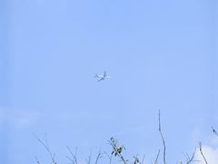 -苏州太湖国家湿地公园