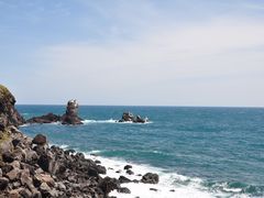 -涉地可支