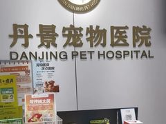 -丹景宠物医院·全科·老年病·牙科(武昌诊疗中心)