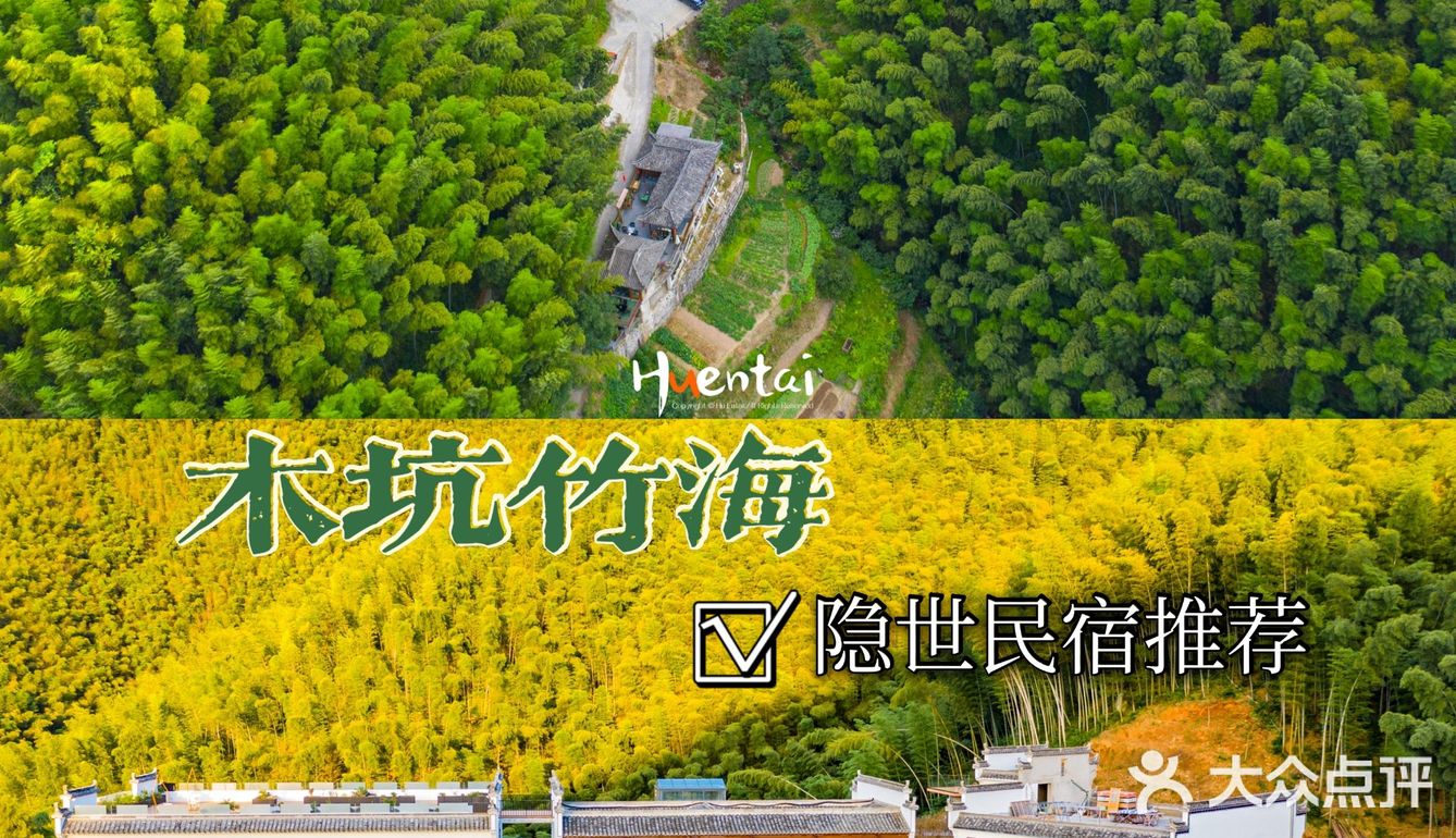 距宏村4km的木坑竹海，藏着一家隐世民宿