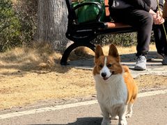 -南京市江宁方山