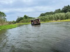 -洪湖湿地生态园