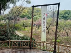 -无锡梅园公园