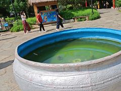 -云南民族村
