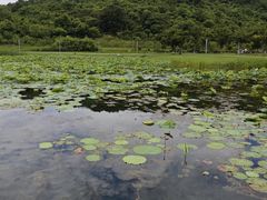 -南北湖风景区