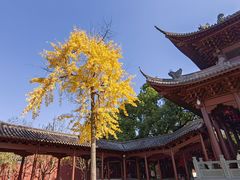 -钱王祠