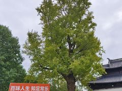 -狼山风景名胜区