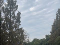 -J Create城市露营咖啡·简餐·宠物(上海动物园店)