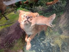 -国家自然博物馆