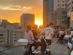 -宝安西湾红树林湿地公园