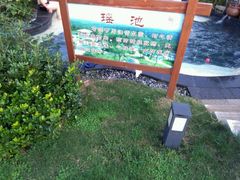 -东海森林温泉度假酒店