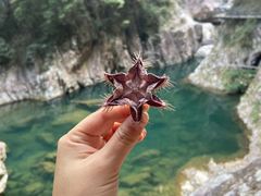 -龙湾潭国家森林公园