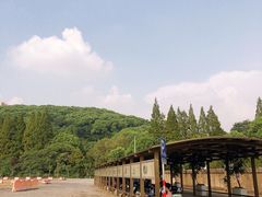 -上海佘山国家森林公园东门地面停车场