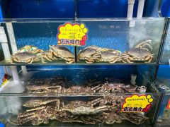 -蚝专家(北滘店)