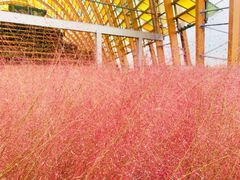 -中国天府农业博览园