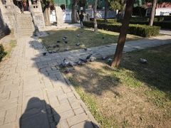 -中岳庙
