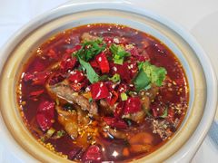 -蕉棠·鸽子餐厅(柳州万象城店)