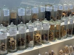-广东中医药博物馆