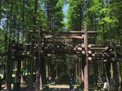 -黄海国家森林公园