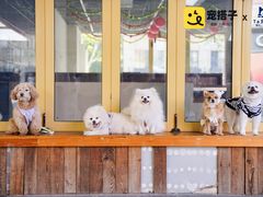 -中海环宇荟
