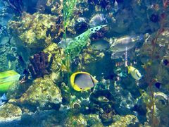 -烟台海昌鲸鲨海洋公园