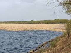 -野鸭湖国家湿地公园