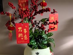 -龙大花卉苗木市场