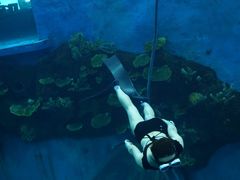 -苏州海洋馆
