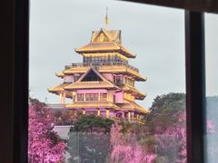 -金鸡湖桃花岛