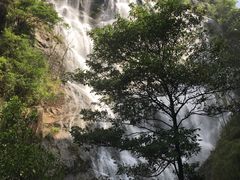 -千泷沟大瀑布旅游区