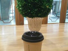 -多克多蒸气茶DOKDO(鼓楼绿地店)