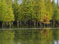 -白鹭湾湿地公园