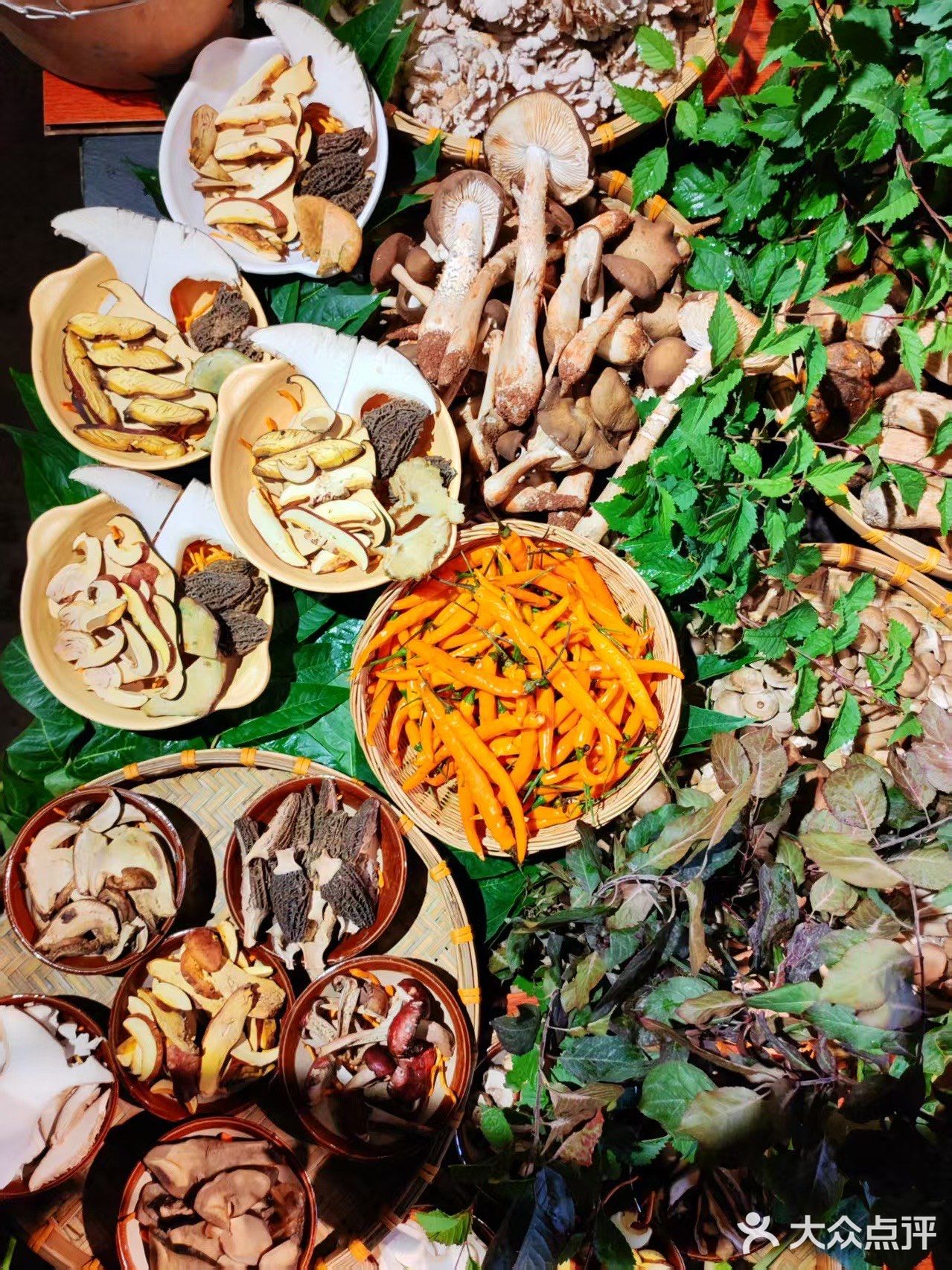 救命!在溪岱岛被这口野生菌鲜到说不出话