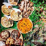 救命!在溪岱岛被这口野生菌鲜到说不出话