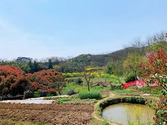 -石塘人家