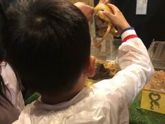 -清迈夜间动物园