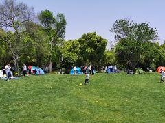 -吴淞炮台湾湿地森林公园烧烤区